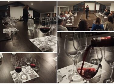 Degustacja Wina
