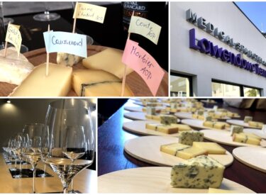 Degustacja wina i serów
