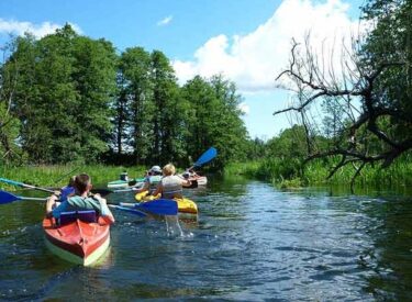 Spływ Kajakowy